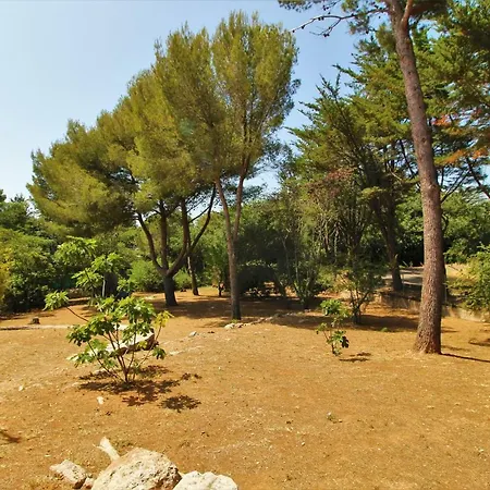 De Charme Sur La Corniche セット